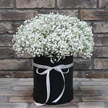 Цветочная композиция из Гипсофила в шляпной коробке в Богородское